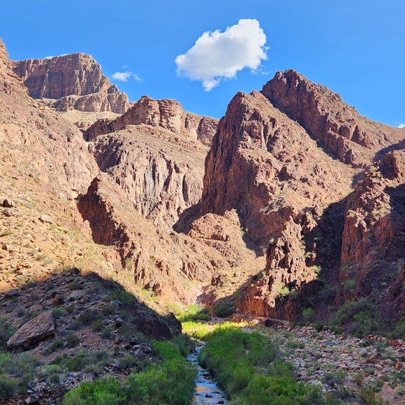 Meet your Posher, Christopher - Picture 3 of 6